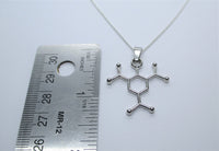 TNT Necklace, TNT Molecule Necklace, Science Necklace, Chemistry Necklace, TNT Jewelry, Science Jewelry Dynamite Necklace