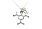 TNT Necklace TNT Molecule Necklace Science Necklace, Dynamite Necklace, Initial Personalized Gifts TNT Jewelry Science Jewelry Gifts For Her
